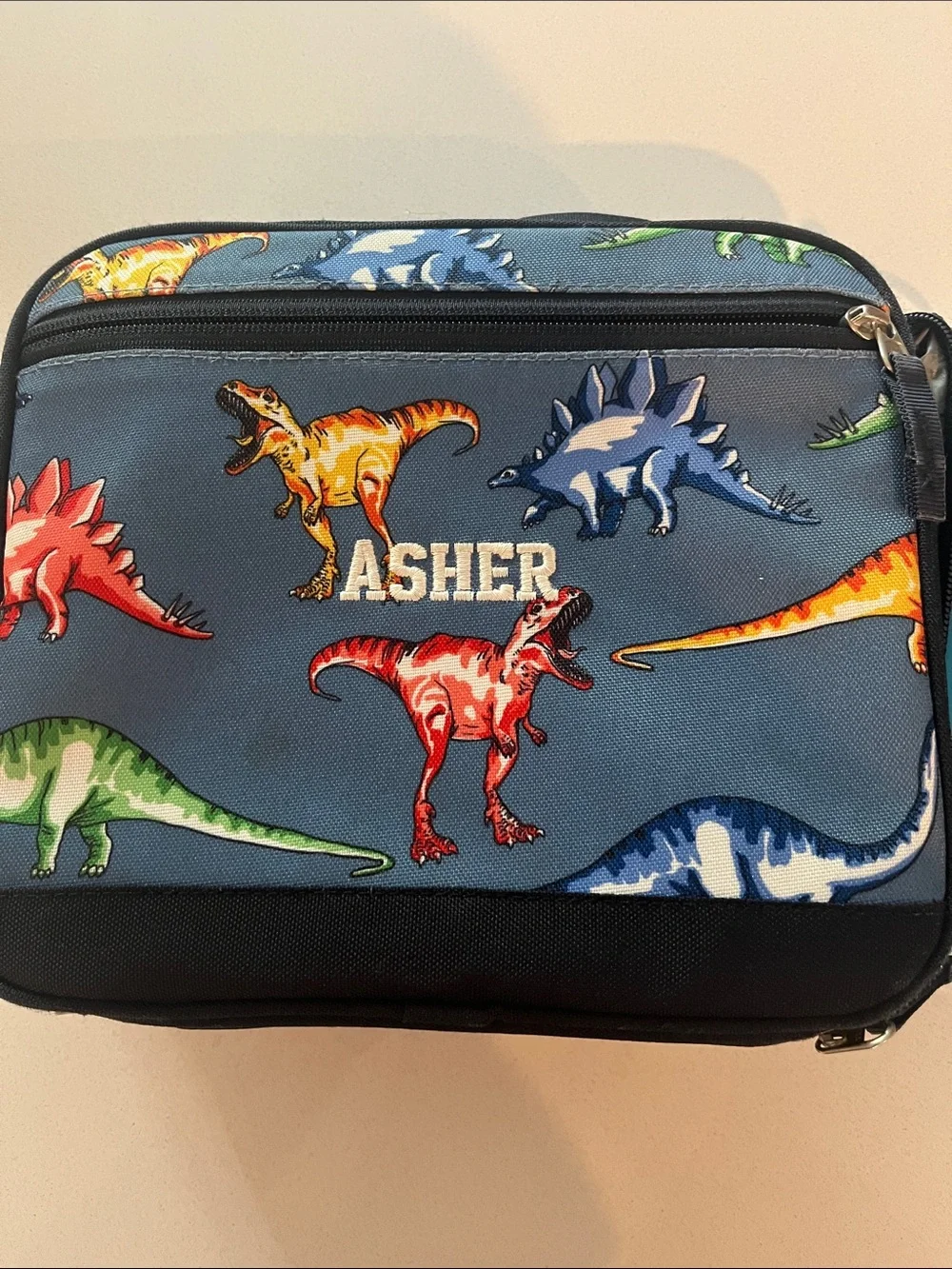 Pottery Barn Kids Dinosaur Lunchbox and Bentgo Dinosaur Lunchbox